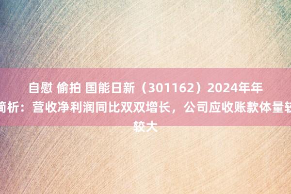 自慰 偷拍 国能日新（301162）2024年年报简析：营收净利润同比双双增长，公司应收账款体量较大