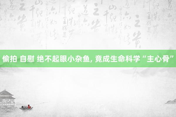 偷拍 自慰 绝不起眼小杂鱼， 竟成生命科学“主心骨”