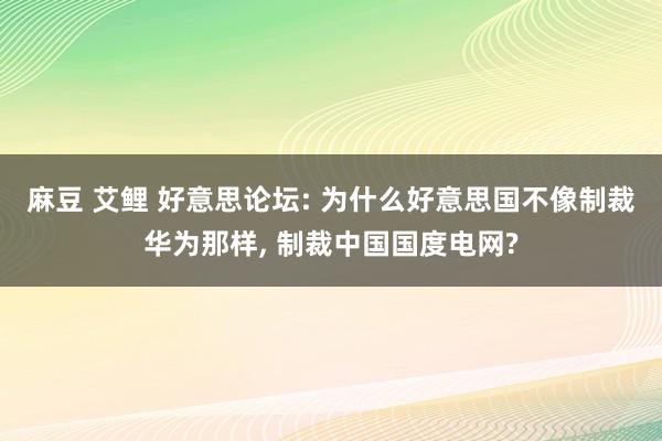 麻豆 艾鲤 好意思论坛: 为什么好意思国不像制裁华为那样, 制裁中国国度电网?