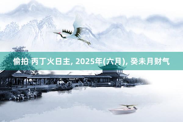 偷拍 丙丁火日主, 2025年(六月), 癸未月财气