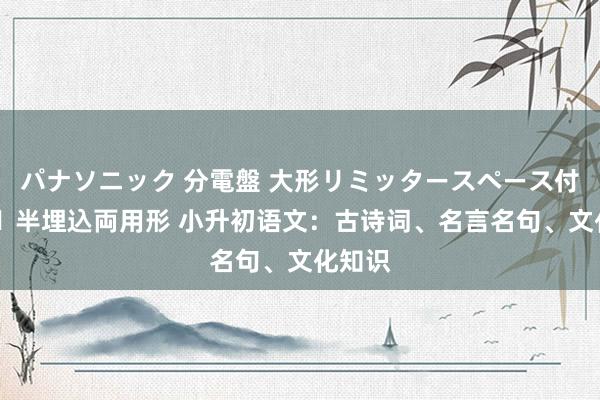 パナソニック 分電盤 大形リミッタースペース付 露出・半埋込両用形 小升初语文：古诗词、名言名句、文化知识