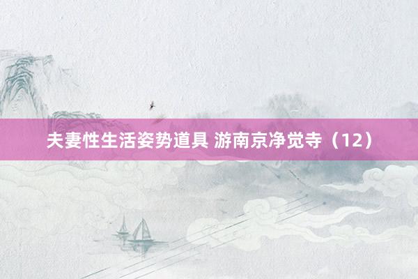 夫妻性生活姿势道具 游南京净觉寺（12）