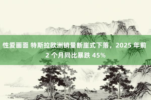 性爱画面 特斯拉欧洲销量断崖式下落，2025 年前 2 个月同比暴跌 45%